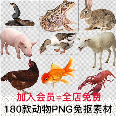 ¸ßÇ嶯ÎïÉß¼¦Ñ¼ÓãÀàÍÃ×ÓСÁúϺÇàÍÜPNGÃâ¿Ù͸Ã÷ͼƬPSÉè¼ÆËØ²Ä