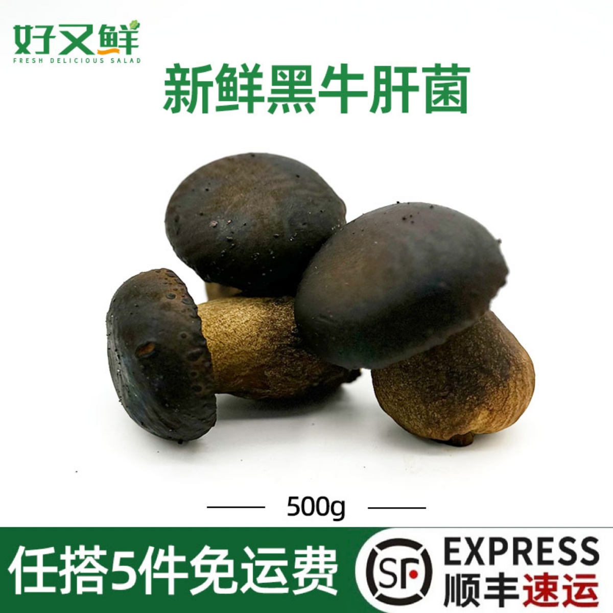 新鲜黑牛肝菌炒食用煲汤火锅菌菇