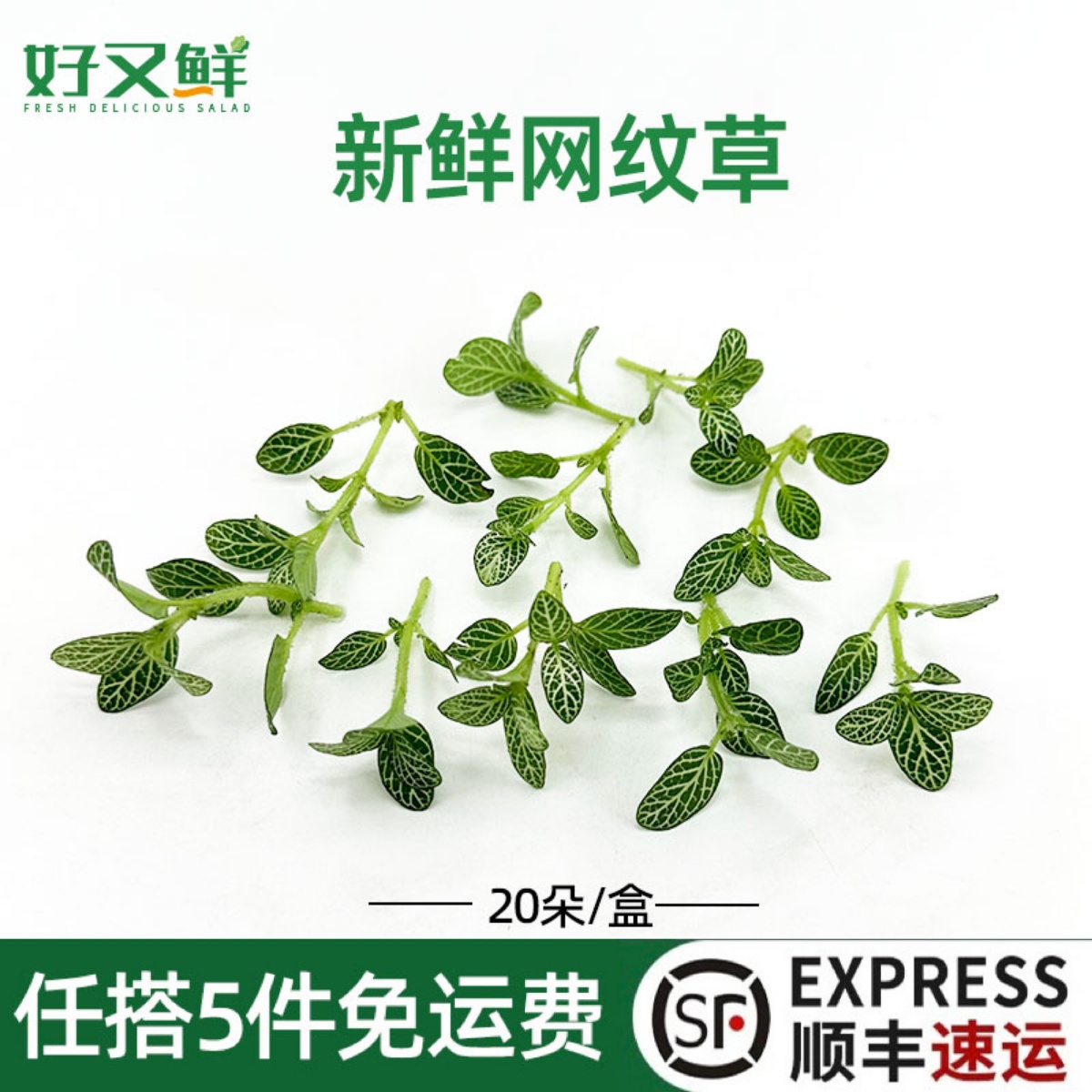 新鲜绿网纹草日料蛋糕装饰点缀花
