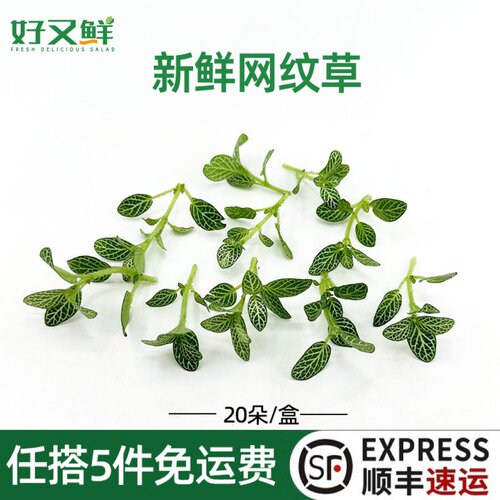 新鲜绿网纹草日料蛋糕装饰点缀花