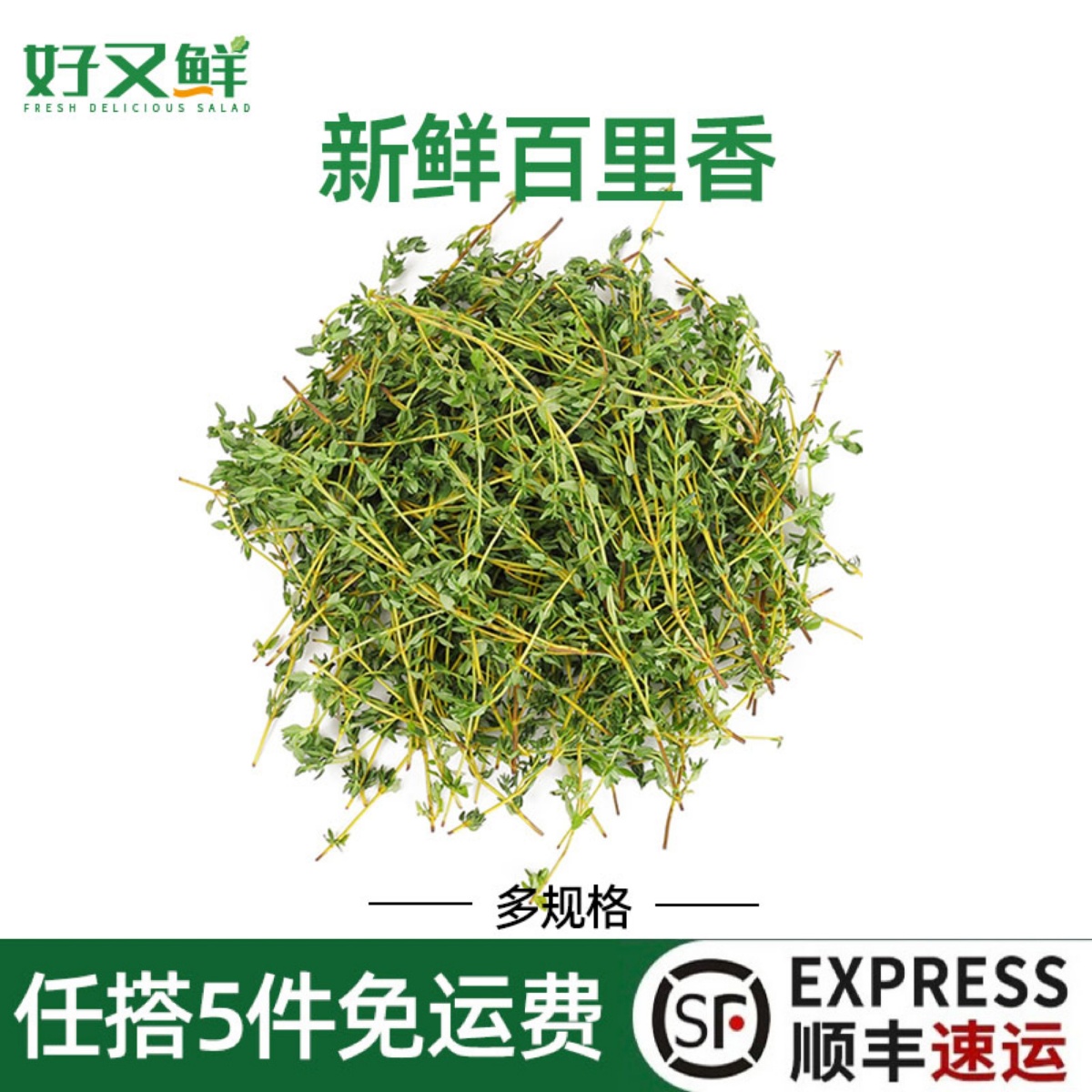 新鲜百里香食用煎扒香料菜烧烤西餐调味增香食材蛋糕装饰香草蔬菜