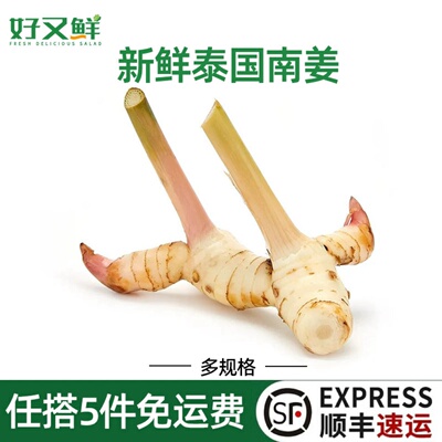 新鲜白皮泰南姜冬阴功汤原料食材