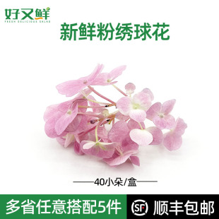 饰点缀花草 粉色绣球花现摘新鲜花朵酒店西餐厅摆盘蛋糕烘焙日料装