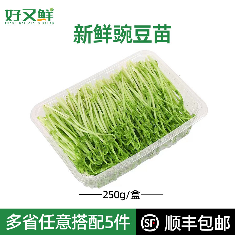 新鲜豌豆苗农家龙须苗豆芽苗豌豆尖火锅上汤蔬菜西餐沙拉轻食食材
