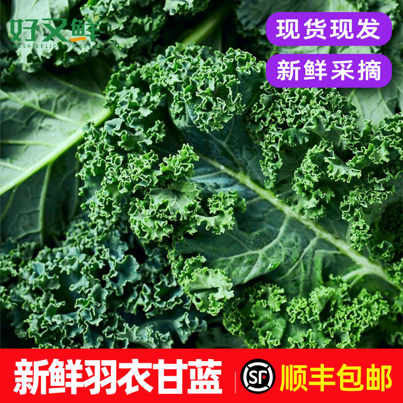 羽衣甘蓝新鲜食用绿色沙拉蔬菜榨汁烤片健身西餐轻食食材kale包邮