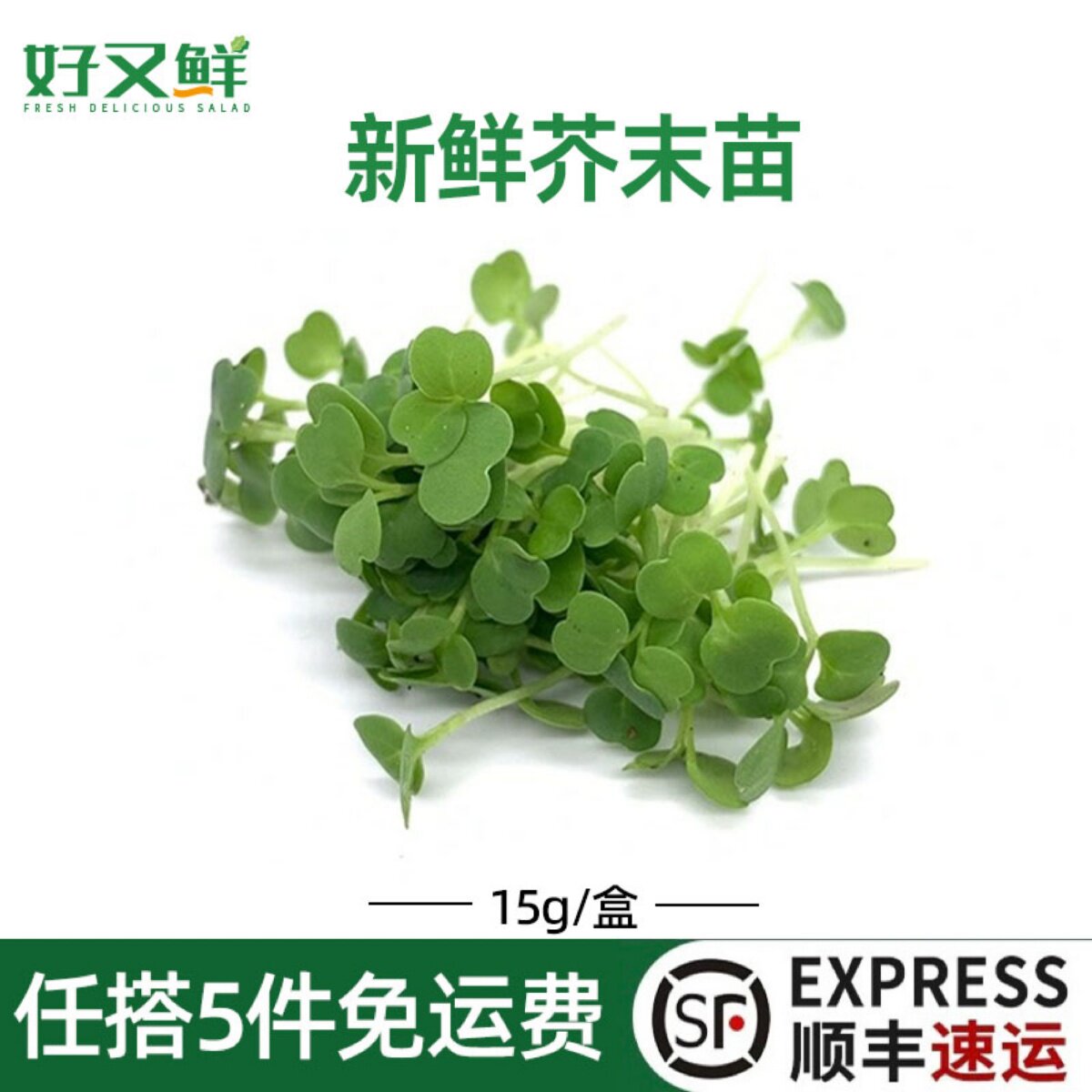 新鲜芥末苗西餐摆盘装饰点缀花苗