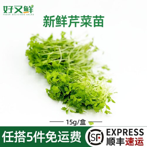 新鲜芹菜苗西餐摆盘装饰点缀花草