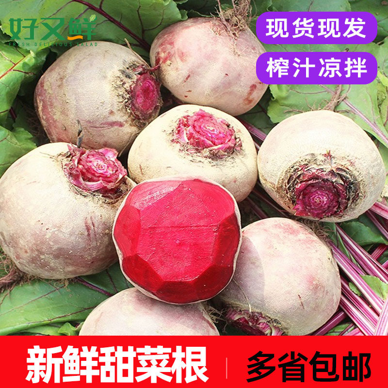 新鲜甜菜根西餐食材榨汁蔬菜包邮