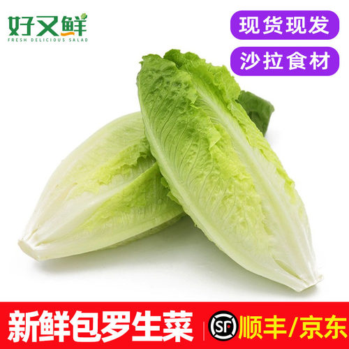 新鲜包罗生菜沙拉菜西餐食材包邮