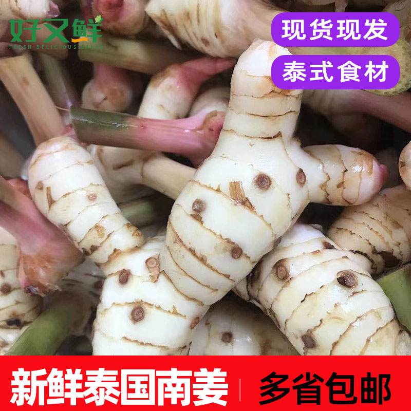 新鲜白皮南姜泰国品种高良姜冬阴功汤原料食材提鲜增香香料菜包邮
