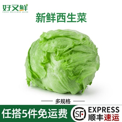 新鲜西生菜即食轻食西餐沙拉食材