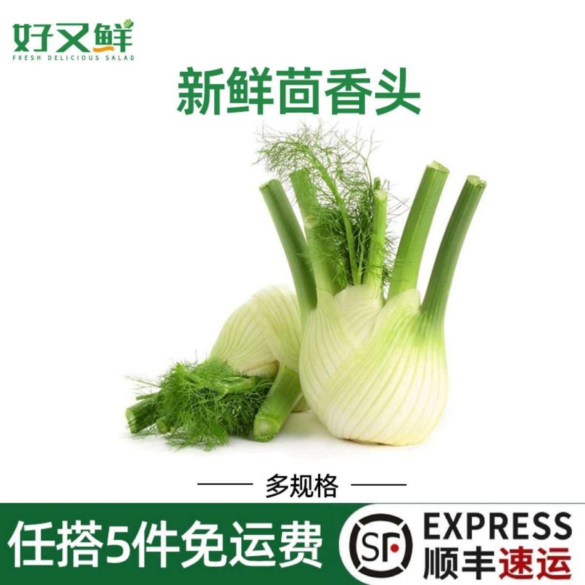 新鲜茴香头味浓球茎茴香根西餐料理酒店食材健身沙拉炒食香料蔬菜,水产肉类/新鲜蔬果/熟食,其它,淘宝优惠券,粉丝福利购,淘宝优惠卷