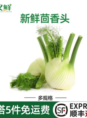 新鲜茴香头味浓球茎茴香根西餐料理酒店食材健身沙拉炒食香料蔬菜