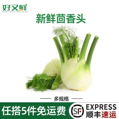 新鲜茴香头西餐食材沙拉炒食蔬菜