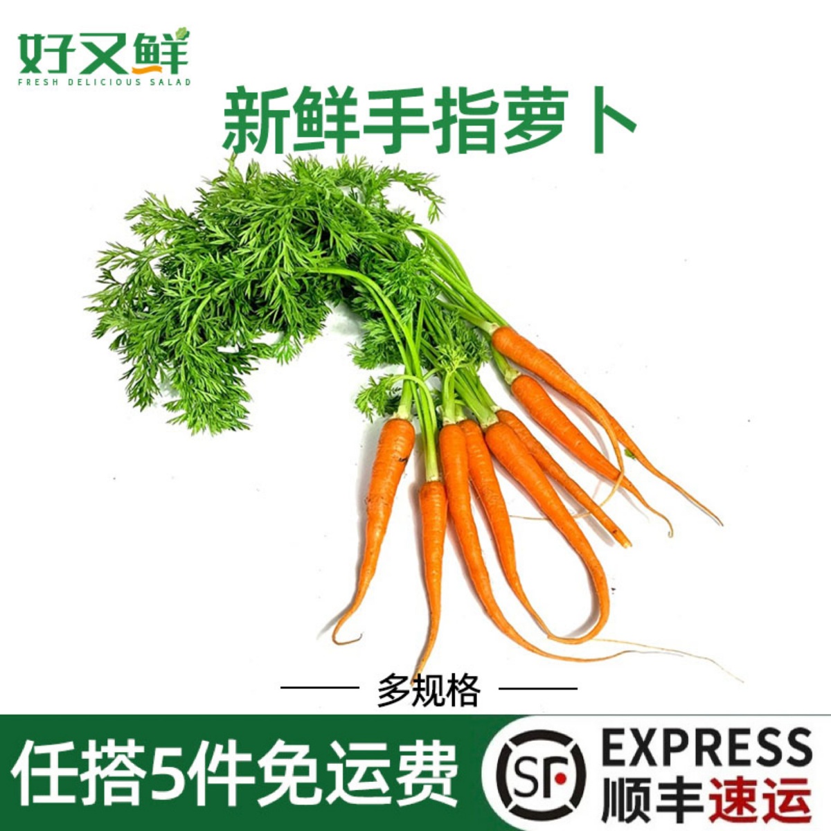 新鲜手指小萝卜沙拉蔬菜西餐食材