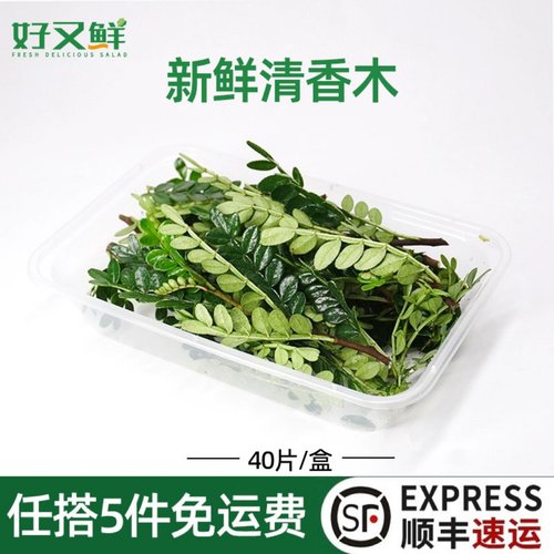 好又鲜清香木摆盘蛋糕装饰花草苗