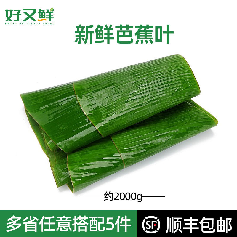 新鲜芭蕉叶农家现摘香蕉叶摆盘装饰糍粑包粽子烤鸡垫盘叶子约4斤
