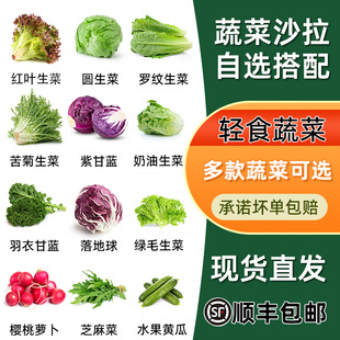 新鲜沙拉蔬菜自选搭配轻食混合生菜可生吃沙拉菜西餐专用食材 包邮