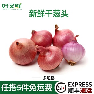 特香干葱头红葱头农家自种小毛葱头西餐香料葱油酱料调味调料蔬菜