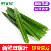 包邮 斑斓叶新鲜香兰叶食用班兰叶烘培蛋糕甜品糯米饭摆盘装 饰叶子