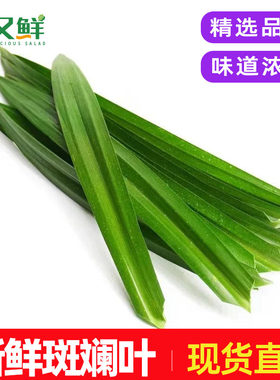 新鲜斑斓叶烘培蛋糕甜品叶子包邮