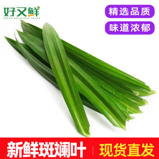 斑斓叶新鲜香兰叶食用班兰叶烘培蛋糕甜品糯米饭摆盘装饰叶子包邮