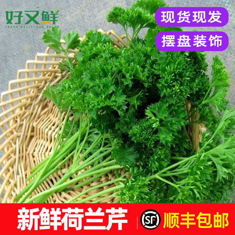 新鲜荷兰芹卷叶欧芹法香菜方西西餐摆盘蛋糕装饰点缀榨汁蔬菜包邮
