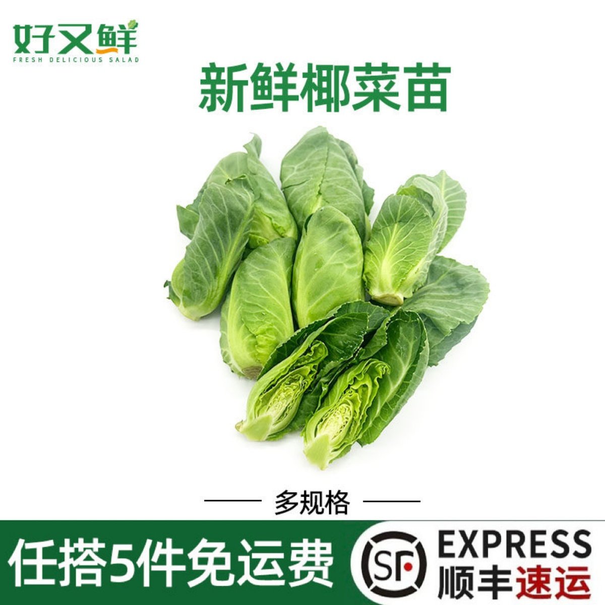 新鲜椰菜苗绿色雪莲苗侧芽娃娃包菜椰菜仔酒店餐厅特色时令蔬菜,水产肉类/新鲜蔬果/熟食,其它,淘宝优惠券,粉丝福利购,淘宝优惠卷