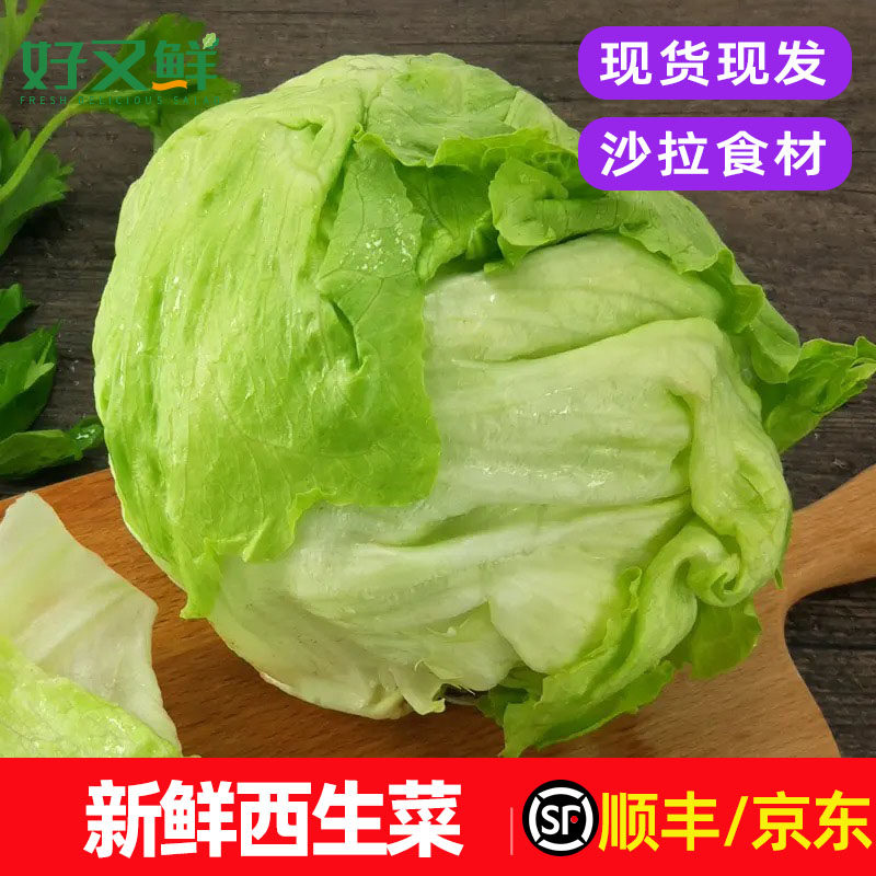 新鲜西生菜球生菜圆生菜汉堡用菜即食生吃轻食西餐沙拉菜食材包邮,水产肉类/新鲜蔬果/熟食,其它,淘宝优惠券,粉丝福利购,淘宝优惠卷