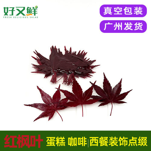新鲜红枫叶日料餐饮摆盘装饰包邮