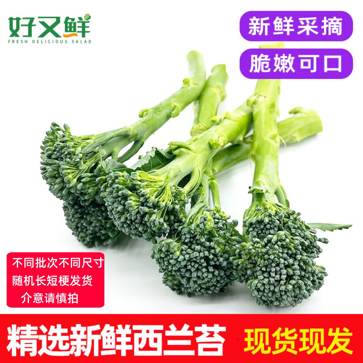 新鲜西兰苔手指小西兰花轻食青花菜西餐特色食材沙拉炒食蔬菜包邮