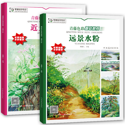 赠视频教程 青藤色彩基础教程 近景水粉 远景水粉 色彩素描速写书基础入门教程 水彩书籍教材水粉画临摹范本 青藤少儿美术绘画教程