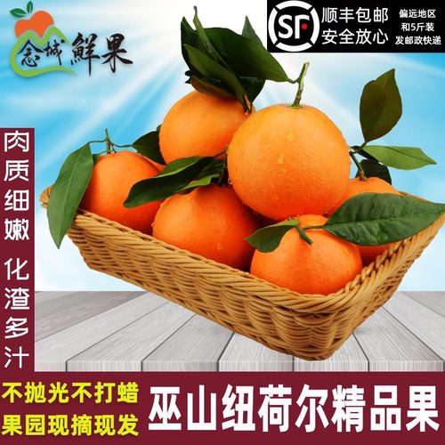 念城鲜果巫山纽荷尔脐橙现摘现发