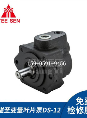 台湾镒圣 YEE SEN DS-12-FR DS-13-FR DS-14-FR 定量叶片泵