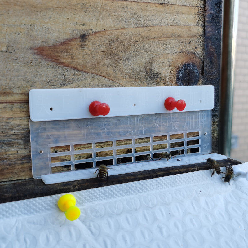 顶格中蜂标记防逃片蜜蜂巢门防跑片蜂箱塑料隔王片防蜂王逃跑养蜂
