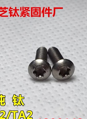 钛螺丝M2.5x3-4-5-6-8-10平圆头内梅花T8 纯钛螺栓GR2/TA2