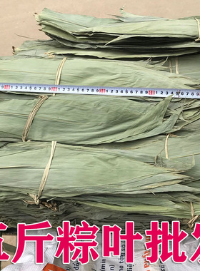 粽叶粽子叶5斤装五斤新鲜免邮包粽子的叶子干大号棕叶商用3斤