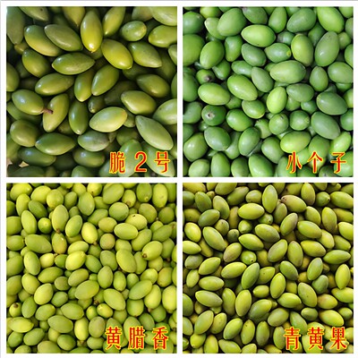 潮汕青橄榄多品种可选新鲜包邮