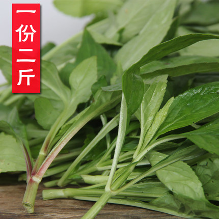 现摘野生新鲜苦菜 酱败草 天然野菜煲汤现采苦斋婆 苦抓菜包邮