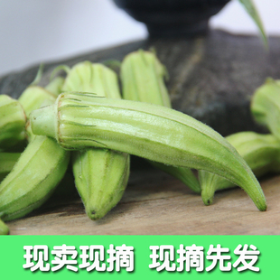 现摘福建农家蔬菜洋茄黄秋葵无公害羊角豆黄蜀葵洋辣椒2份包邮