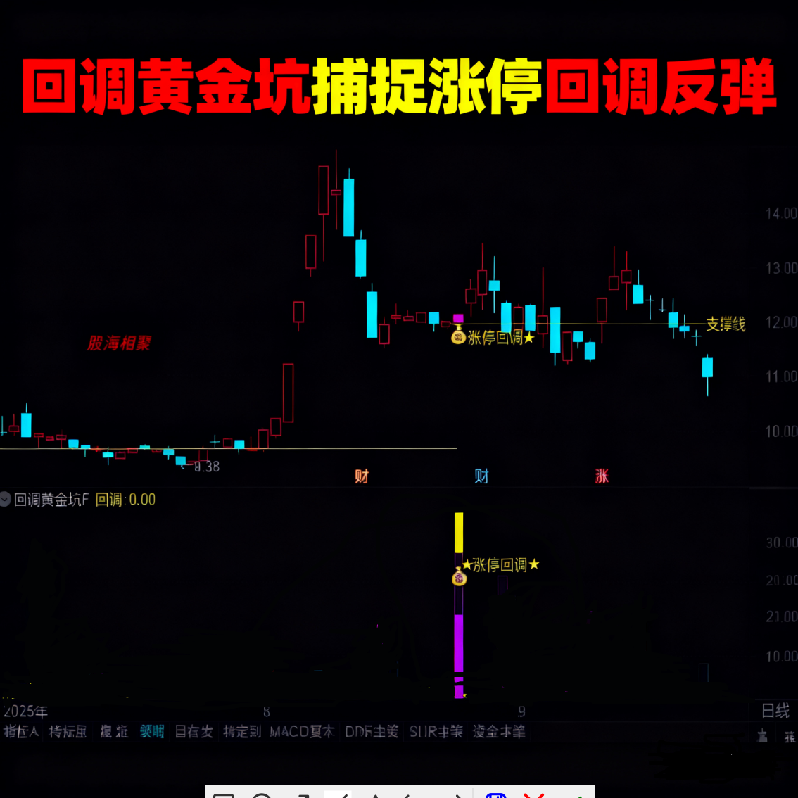 黄金坑捕捉涨停反弹主副图