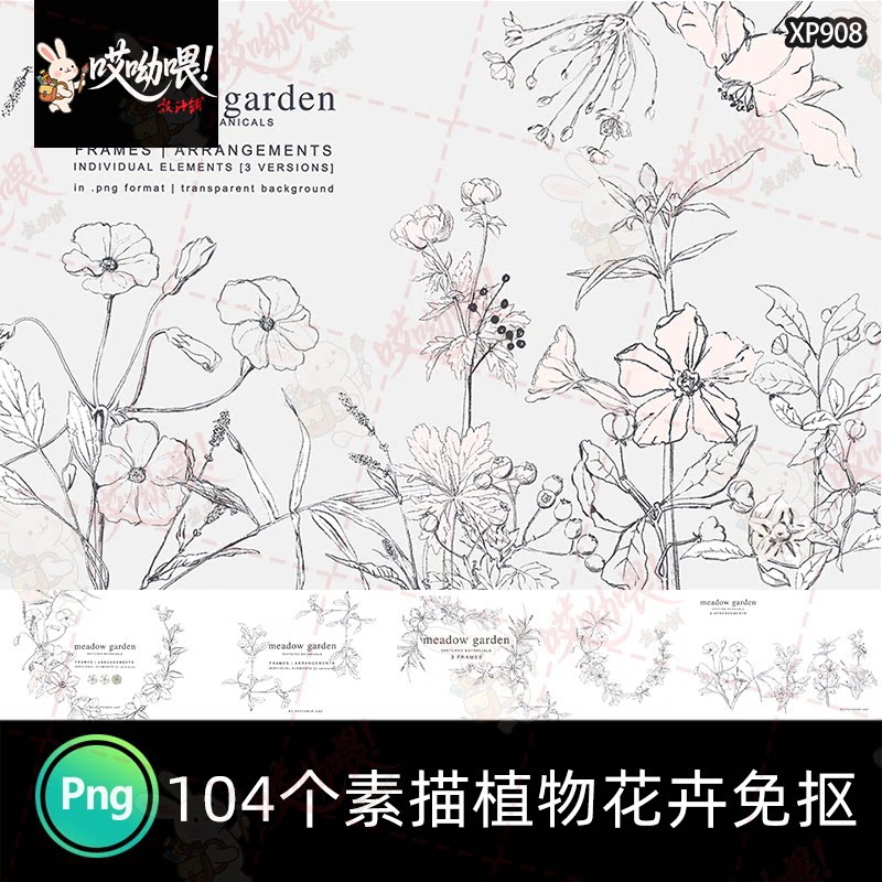 手绘铅笔素描线艺术植物线稿花卉草本元素产品ps包装素材PNG免抠