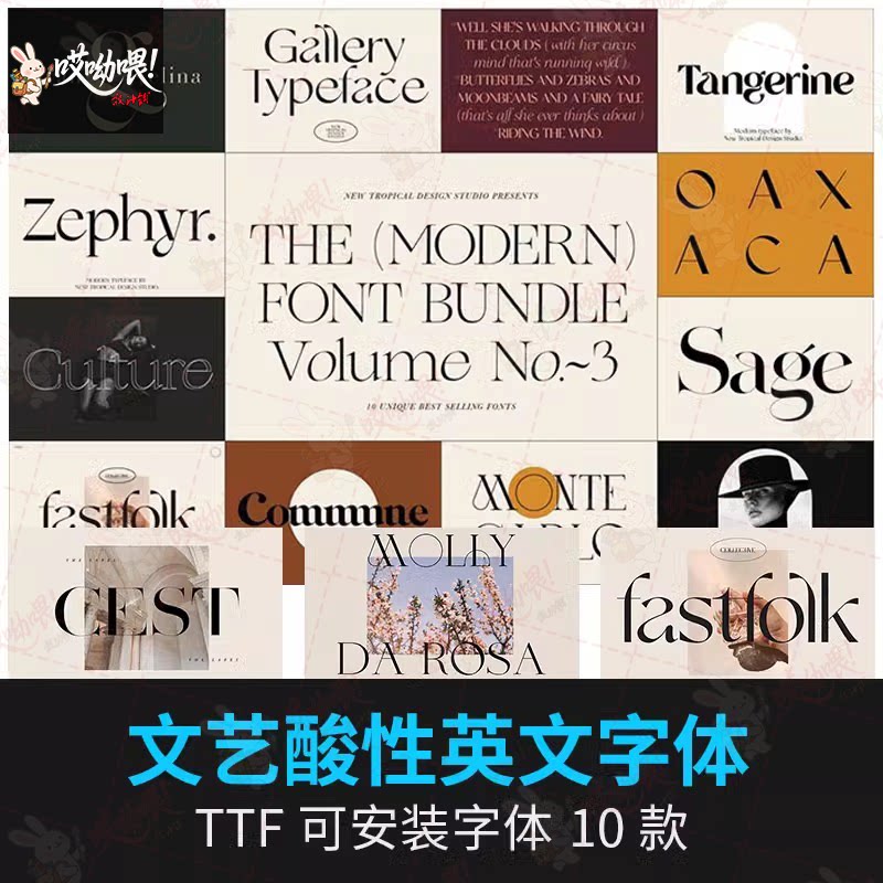 海报标题优雅酸性轻奢衬线艺术字体杂志英文logo品牌设计win/MAC