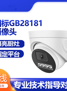 国标摄像头GB28181协议监控器对接饭店厨房阳光餐饮平台rtsp设备