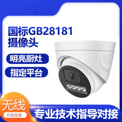 国标GB28181摄像头对接指定平台