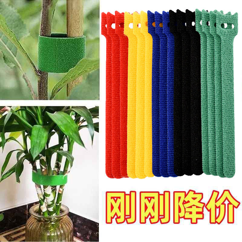 重复使用植物绿植绑带