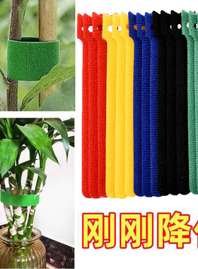 魔术贴绿植扎带捆绑绿色粘扣带不伤植物支撑固定热植绑带植物捆绑