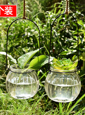 4个绿植花卉玻璃花瓶观叶观根植物吊瓶水培植物容器水生水养绿萝