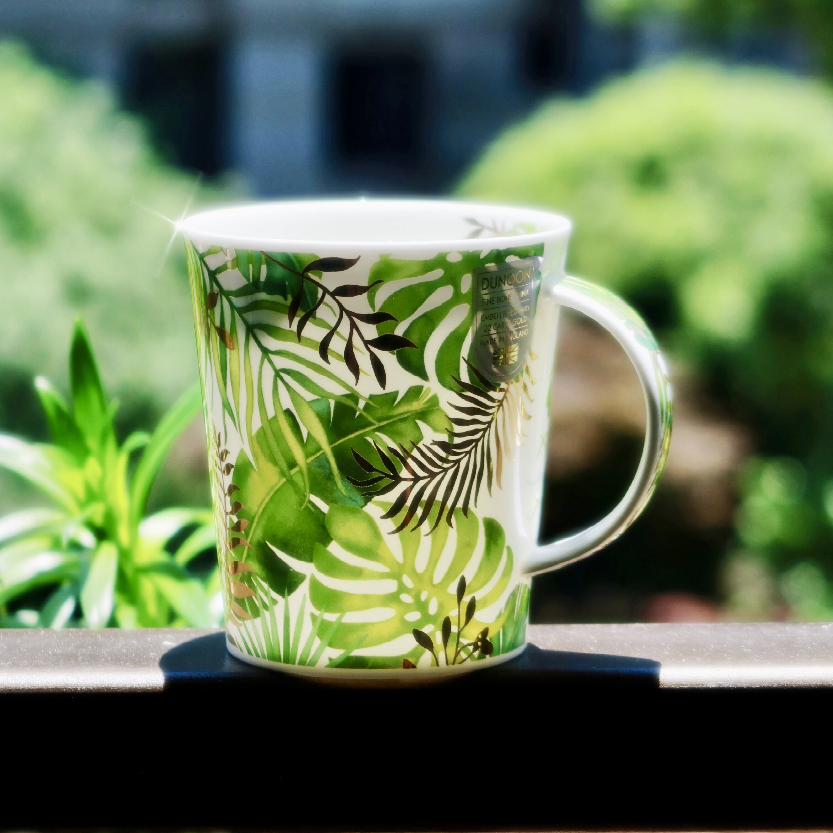 英国DUNOON骨瓷水杯马克杯咖啡杯