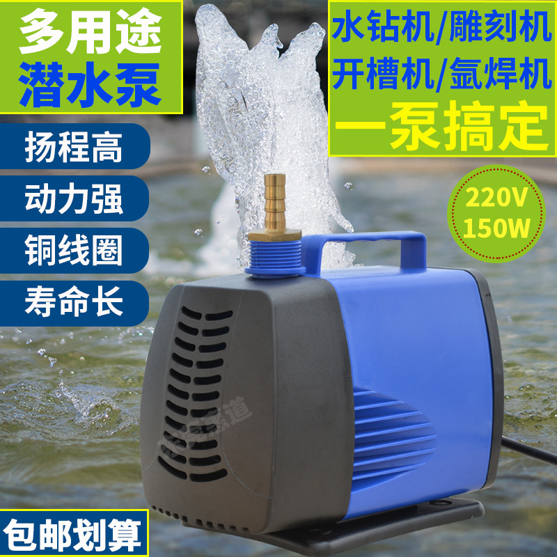 大扬程微型抽水泵潜水泵